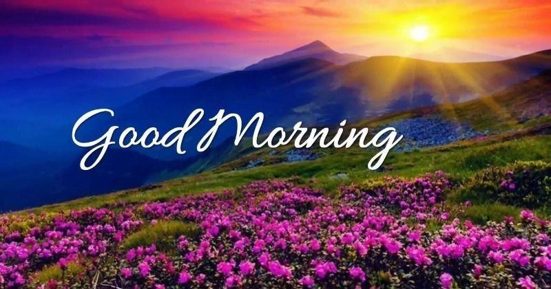 Good Morning